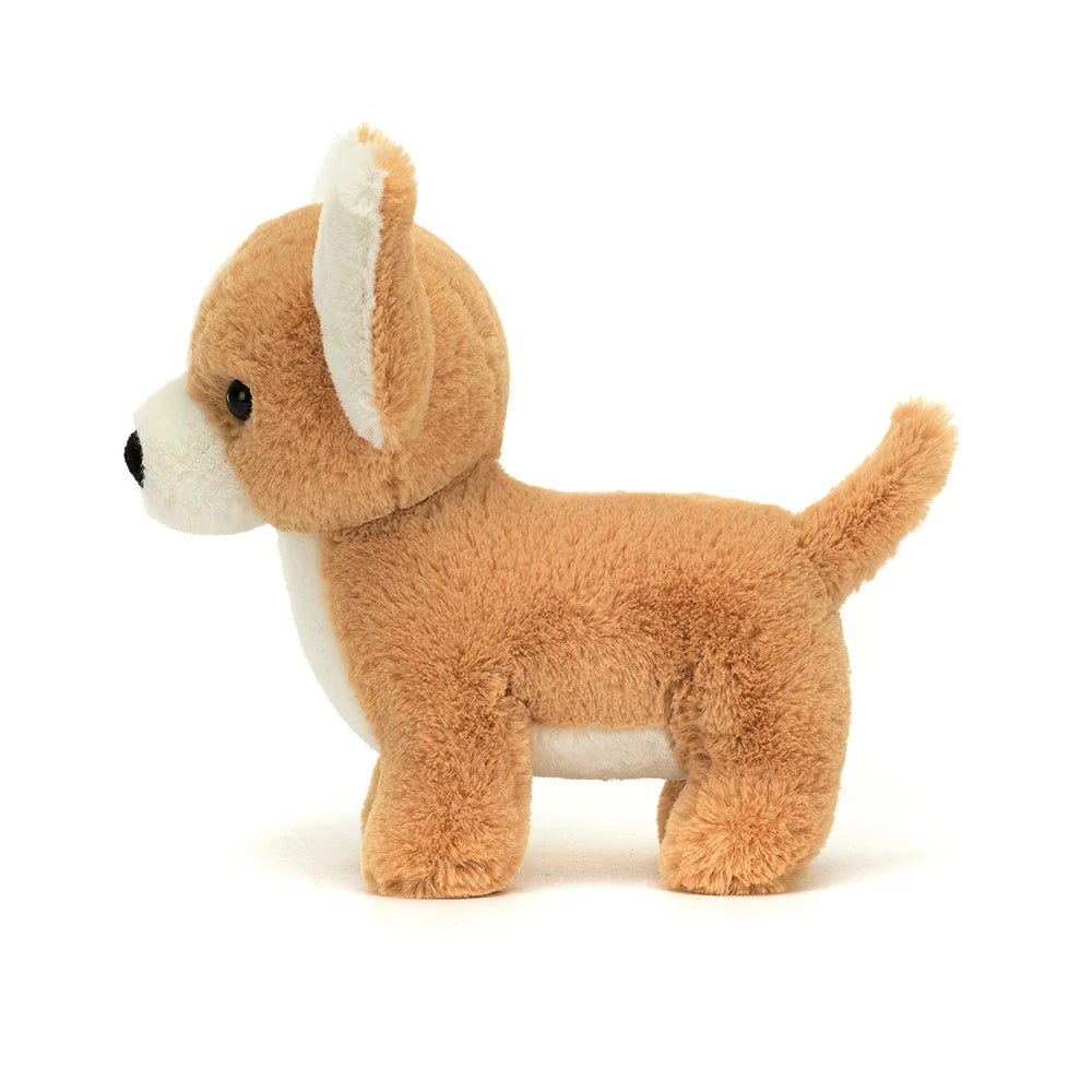 Isobel Chihuahua - US 6642