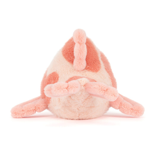 Fancy Carp - US 2561