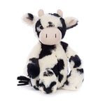 Bashful Calf - US 7481