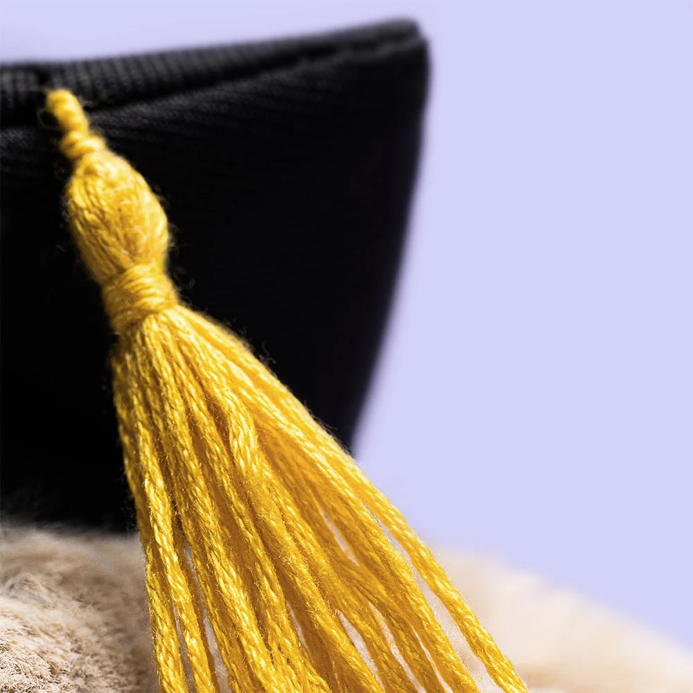 Bashful Bunny ‘Graduation’ - US 4005