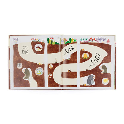 Muswell Mole And The Buried Treasure Book - US 5313