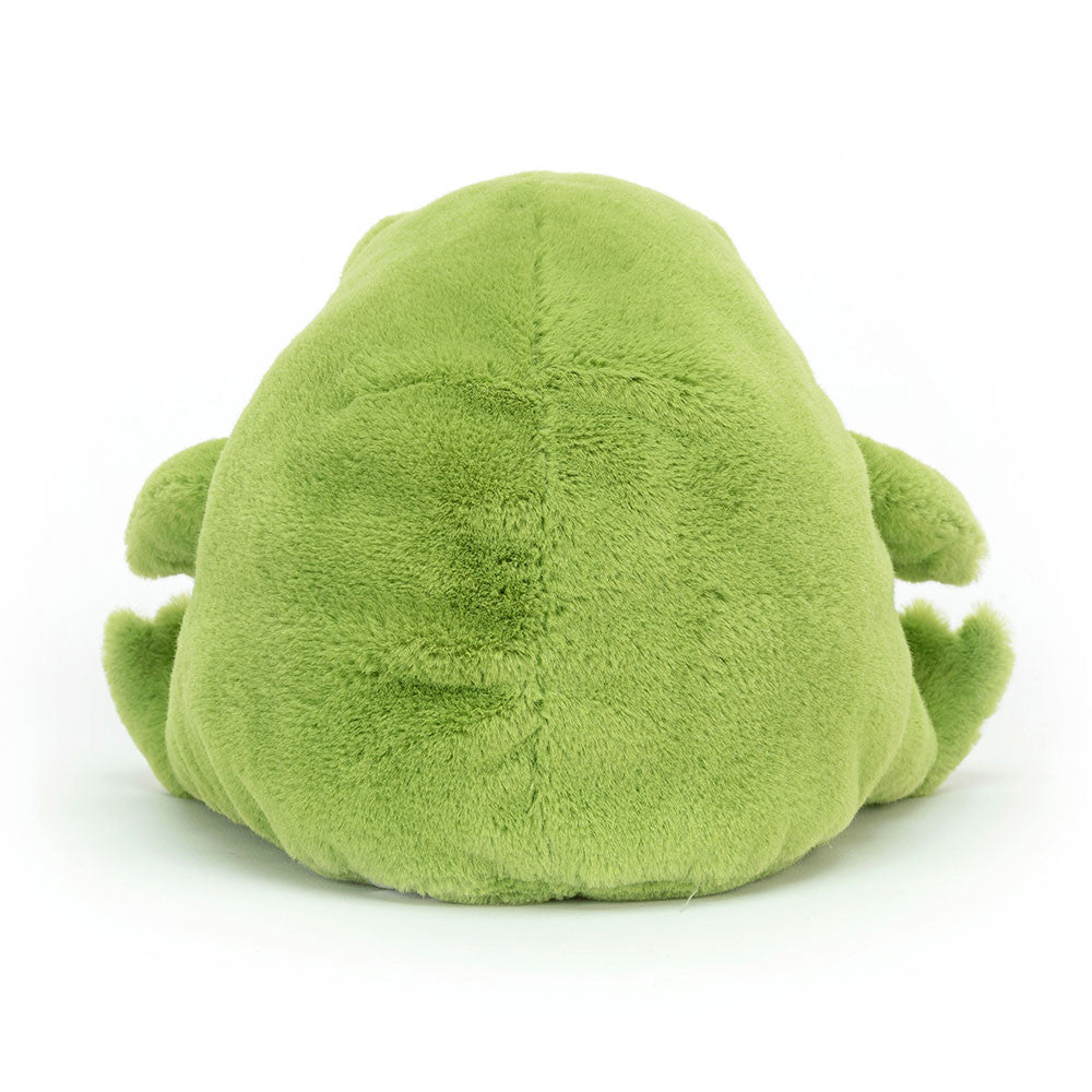 Ricky Rain Frog - US 7091