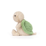 Thimble Turtle - US 4185