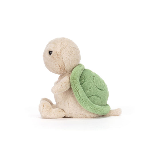 Thimble Turtle - US 4185